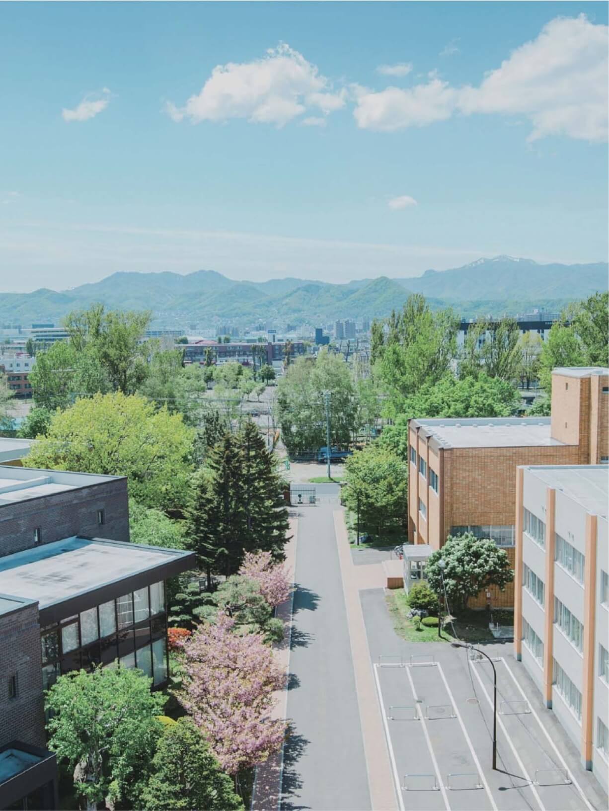 北海道武蔵女子大学・短期大学公式サイト