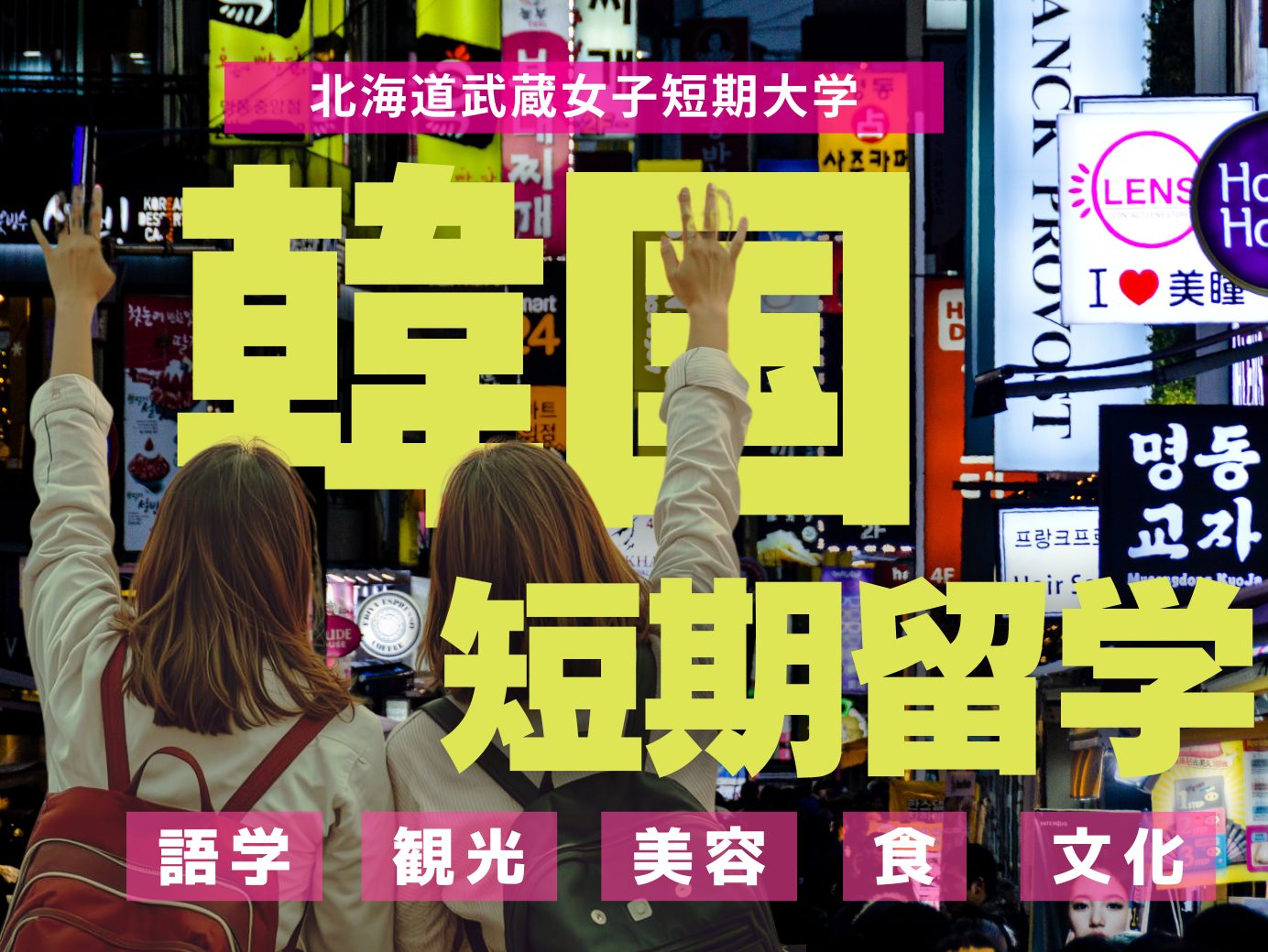 韓国短期留学で見つけた「言葉のチカラ」と「文化の深さ」―Lexis Koreaでの学び体験記 