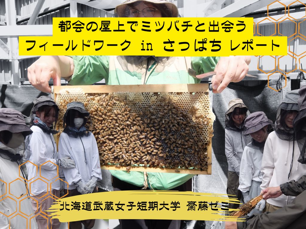 都会の屋上でミツバチと出会う　― 北海道武蔵女子短期大学 齋藤ゼミ「フィールドワーク in さっぱち」レポート ―