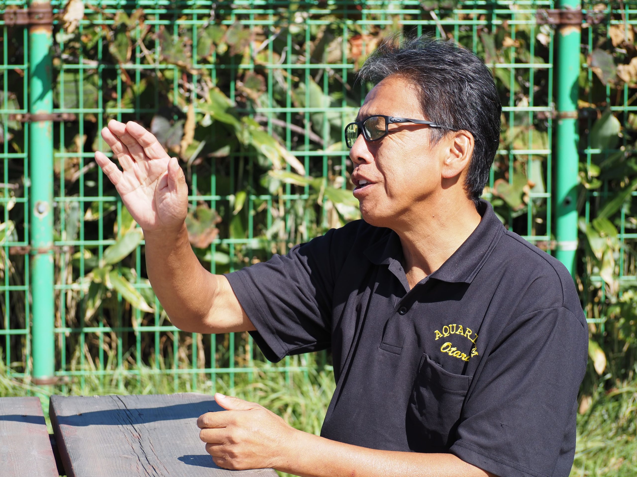 キッズデザインプロジェクト「イルカのじかん」が教えてくれること ― 小樽の海と生きるおたる水族館の物語　